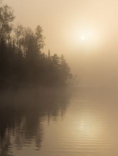 a foggy lake with trees and the sun in the distance on a misty day