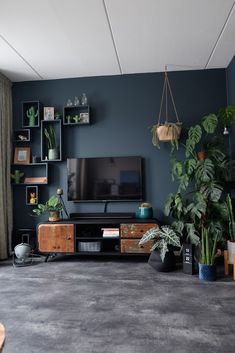 a living room filled with lots of plants next to a flat screen tv mounted on a wall