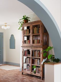 a book shelf with many books and plants on it in a living room next to a blue door