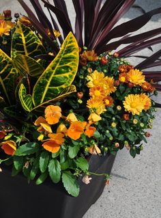 a planter filled with lots of different colored flowers