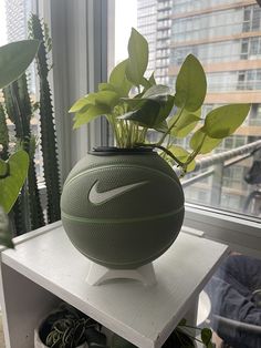 a basketball planter sitting on top of a white shelf next to a potted plant