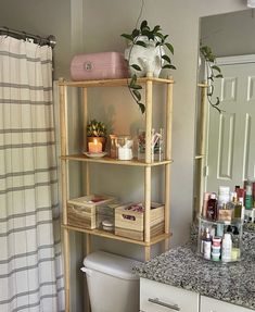 a bathroom with a sink, toilet and shelves in it