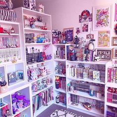 a room filled with lots of different types of toys and books on shelves next to a rug