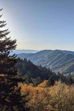 the mountains are covered in autumn foliage and surrounded by pine trees, with bright sunlight shining on them