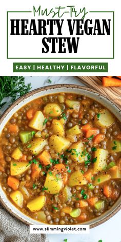 a bowl of hearty vegan stew with carrots and potatoes