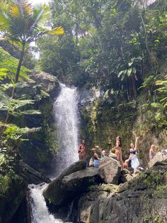 people sitting on rocks near a waterfall in the jungle with trees and plants around them