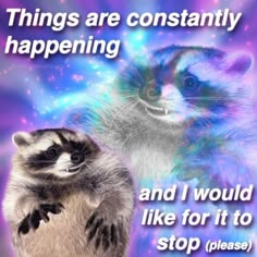 a raccoon is standing next to another raccoon with the caption, things are constantly happening and i would like for it to stop please