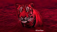 a close up of a tiger in the water with red light coming from it's eyes