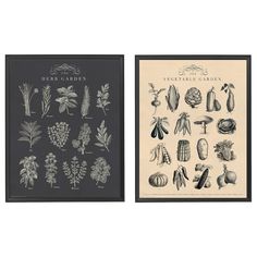 two books with illustrations of vegetables and herbs on them, one in black and white