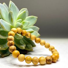 a close up of a beaded bracelet on a table next to an succulent plant