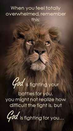 Lion Of Judah Jesus, Lion Quotes, Jesus Christ Quotes, Bible Quotes Images, Christian Quotes Prayer, Jesus Name, Inspirational Quotes God, Do Not Be Afraid, Best Pics