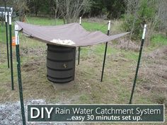 the rain water catchment system is easy to set up in an open field with no grass