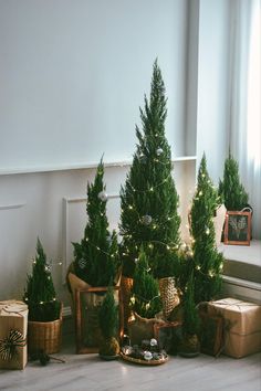 small christmas trees are arranged on the floor