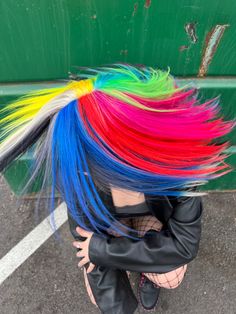 Rainbow Hair Dye Ideas, Rainbow Wolfcut, Colorful Bob Hair, Crazy Hair Dye Ideas, Cool Colored Hair, Creative Hair Color Placement, Vivid Hair Color, Rainbow Hair Color, Creative Hair Color