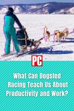 a man riding a sled pulled by dogs on top of snow covered ground with the words pc what can dogled racing teach us about productivity and work?