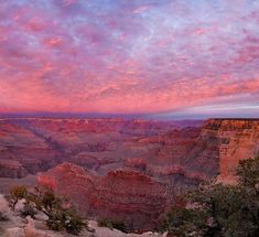 the sky is pink and purple as it sets over the grand canyon in arizona, united states