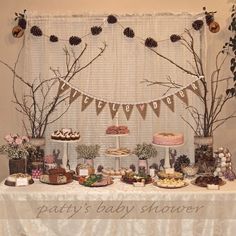 a dessert table with pine cones and cake