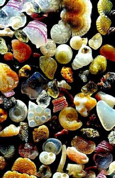 many different types of sea glass on display