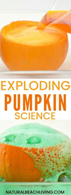 an orange and green pumpkin science experiment with text overlay that reads exploding pumpkin science