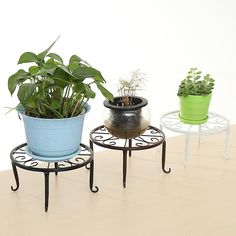 three potted plants sitting on top of metal stands