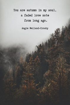 a forest with trees and fog in the background, with an inspirational quote written on it