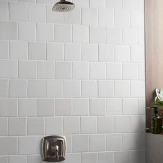 a white tiled bathroom with a shower head and soap dispenser on the wall