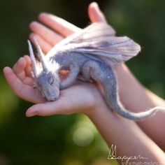 a person holding a small toy animal in their hand with it's wings spread