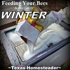 a box filled with food sitting on top of a floor next to a sign that says feeding your bees in the cold of winter