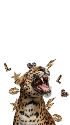 a cheetah with its mouth open in front of hearts