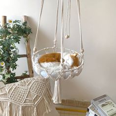 an orange and white cat sleeping in a hammock hanging from a tree branch