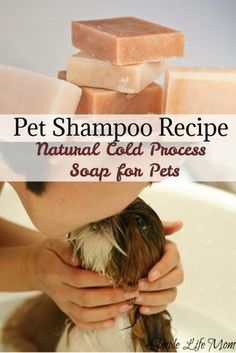 a person holding a dog in front of soap bars on top of their head with the words pet shampoo recipe