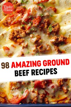 an image of a plate of food with the title overlaying it that reads,'98 amazing ground beef recipes '