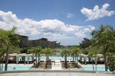 a large swimming pool surrounded by palm trees