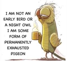 Permanently Exhausted Pigeon, Early Bird, Quotable Quotes, Sarcastic Quotes, Funny Cartoons