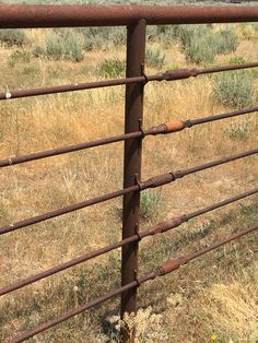 a close up of a metal fence in the middle of a field with grass and weeds