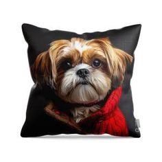 a dog with a scarf on it's neck is sitting in front of a black pillow