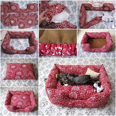 several pictures of different types of dog beds