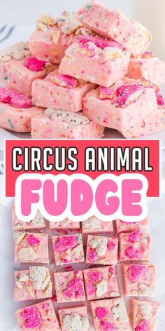 pink fudge squares with sprinkles on top and the words circus animal fudge