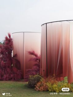 some pink curtains in the grass and trees