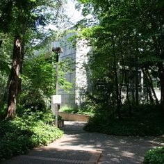 the walkway is surrounded by trees and bushes