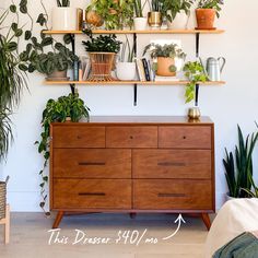 some plants are sitting on the shelves in front of a wall mounted shelf with potted plants