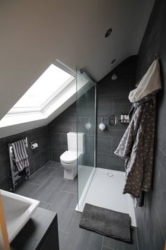 a bathroom with a skylight above the toilet