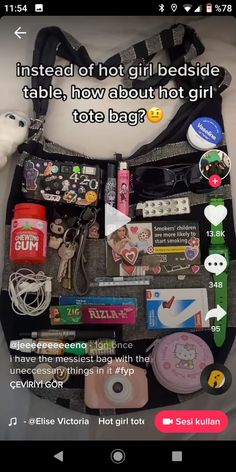 Bag Tour, Road Trip Bag, Inside Bag