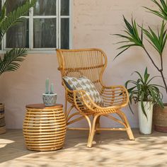 a wicker chair sitting next to a potted plant