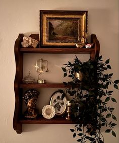 a shelf with some plants and other items on it next to a wall mounted painting