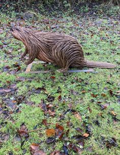 Willow Sculpture, Metal Sculptures Garden, Twig Art, Traditional Baskets, Willow Weaving, Branch Art, Faux Taxidermy, Christmas Decorations Diy Outdoor, Garden Show