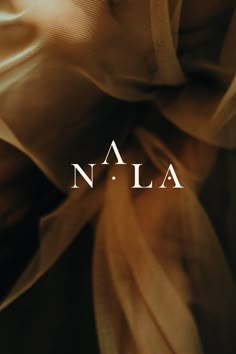 an image of the cover of a book called n l a, with text on it