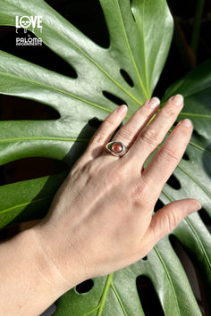 Round, red-orange stone set in silver band on hand in front of monstera leaf. Tiny Studio, Fiery Red, Lost Wax Casting, Gemstone Jewelry Handmade, Silver Jewelry Handmade, Handmade Ring, Oregon, Gemstone Jewelry, Sterling Silver Rings