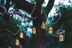 lanterns hanging from the branches of a tree with lights on them in the evening time