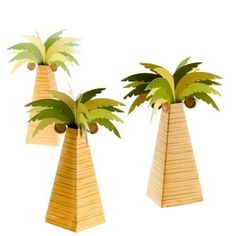 three wooden vases with palm trees in them on a white background, one is made out of wood and the other has green leaves